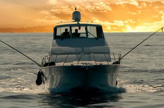 Pêche à la dorade : techniques, appâts, postes et conseils pour mieux co...