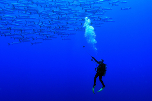 Plongée thérapeutique : quand le monde sous-marin devient un outil de reconstruction