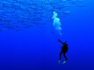 Plongée thérapeutique : quand le monde...