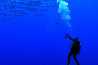 Plongée thérapeutique : quand le monde sous-marin devient un outil de re...