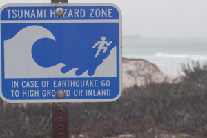 Tsunami : pour la première fois, des scientifiques filment sa naissance en plein océan grâce à un satellite