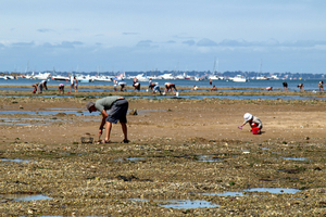 Pêche à pied en France : peut-on la pratiquer aussi bien en Atlantique qu’en Méditerranée ?