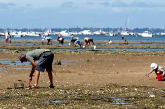 Pêche à pied en France : peut-on la pratiquer aussi bien en Atlantique q...
