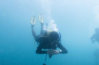 Maîtriser sa flottabilité en plongée sous-marine : la compétence qui cha...