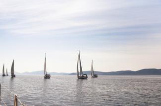 Vogavecmoi lance une flottille vers la Tunisie et ouvre un nouveau chapi...