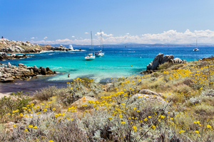 Ce petit archipel de Corse du Sud retrouve tout son attrait en avril, loin de la foule estivale