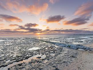 Mer des Wadden : la grande navigation du...