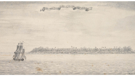 Dessin de Pinaki (White Sunday) par Samuel Wallis 1767