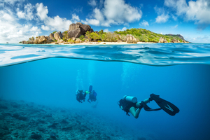 Plongée aux Seychelles : un sanctuaire sous-marin parmi les plus spectaculaires de l’océan Indien