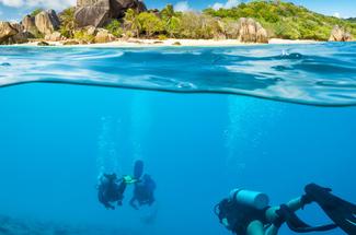 Plongée aux Seychelles : un sanctuaire sous-marin parmi les plus spectac...
