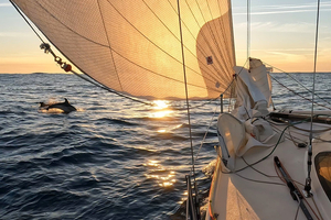 Cap-Martinique 2026 : une entame engagée dans des conditions soutenues