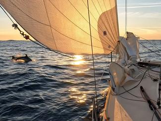 Cap-Martinique 2026 : une entame engagée dans...