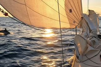 Cap-Martinique 2026 : une entame engagée dans des conditions soutenues