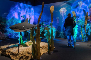 De la baie de Somme aux océans de Jules Verne : un voyage maritime spectaculaire en briques LEGO