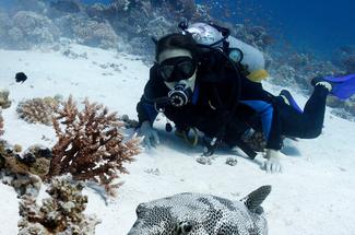 Plongée sous-marine : quel est vraiment l’équipement minimum indispensab...