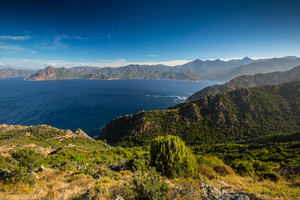Golfe de Porto et calanques de Piana au printemps : une escale spectaculaire au cœur de la Corse sauvage