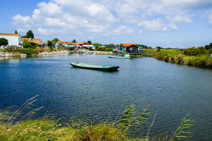 Île d’Oléron en mai : une escale lumineuse entre marais, villages et grands horizons atlantiques