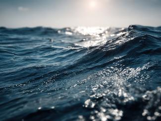 L’upwelling : quand les eaux profondes...