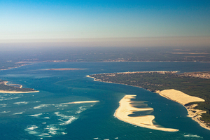Banc d’Arguin : un sanctuaire marin vivant à l’entrée du bassin d’Arcachon