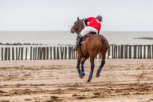 Beach polo : le polo gagne du terrain sur le sable