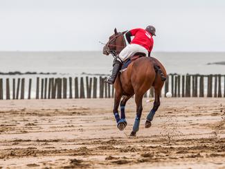 Beach polo : le polo gagne du terrain sur le sable