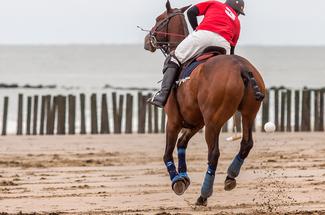 Beach polo : le polo gagne du terrain sur le sable