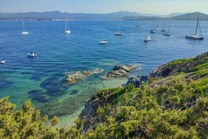 Île des Embiez au printemps : une escale varoise entre criques, sentiers et Méditerranée préservée