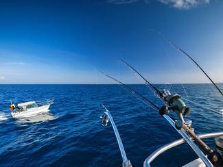 Pêcher en mer l’été : les meilleurs moments de...
