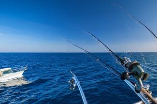 Pêcher en mer l’été : les meilleurs moments de la journée pour éviter de...