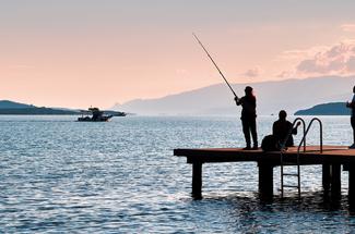 Pêcher depuis une digue : pourquoi ces spots attirent autant de poissons ?