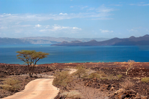 Un futur océan en Afrique : comment le continent se fissure lentement sous nos yeux