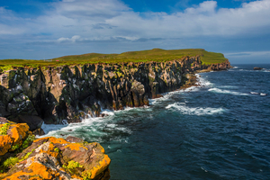 Grímsey en été : macareux, falaises et soleil de minuit au nord de l’Islande