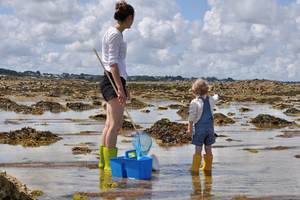 Côtes-d’Armor : la pêche à pied interdite dans la baie de l’Arguenon après une contamination