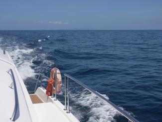 Le catamaran à moteur est-il en train de...