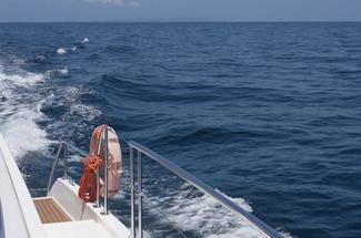 Le catamaran à moteur est-il en train de détrôner le trawler ?
