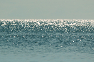 Température des océans : la surface de la mer frôle à nouveau les records