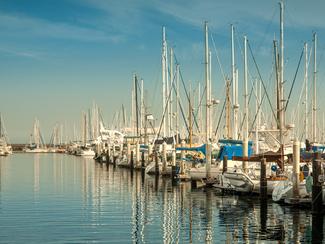 Bateaux anciens, composites, ports saturés :...