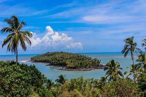 Guyane en été : 5 expériences à vivre entre Amazonie, tortues marines et îles du Salut