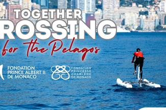 The Crossing 2026 : 225 km en water bike entre Viareggio et Monaco pour ...