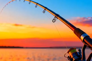 Pêche en mer et fortes chaleurs : faut-il changer ses habitudes ?