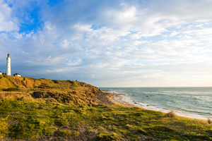Cet été, cap sur le Jutland, le Danemark côté nature et grand large