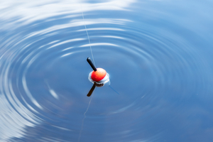 Pêche au flotteur en mer : une technique fine pour lire l’eau et mieux cibler les poissons