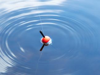 Pêche au flotteur en mer : une technique fine...