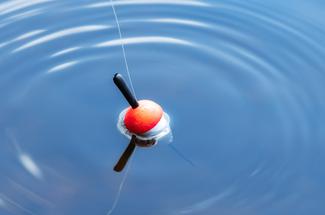 Pêche au flotteur en mer : une technique fine pour lire l’eau et mieux c...