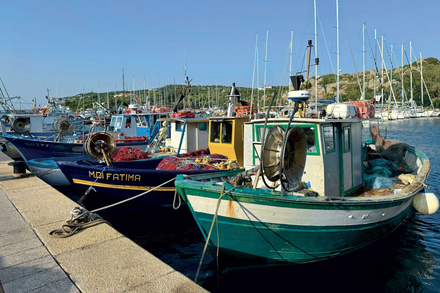 Barques de pêche dans le port