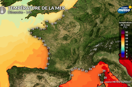 Température de la mer dimanche