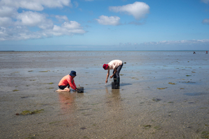 À Erquy, une fuite d’eaux usées cause la fermeture d'une plage à la baignade et à la pêche
