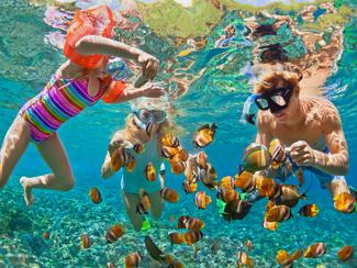 Snorkeling en famille : où aller et comment...
