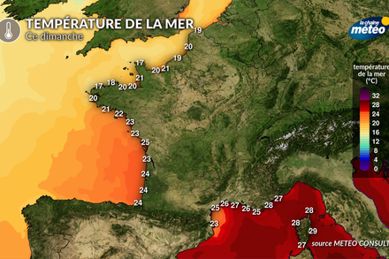Température de la mer dimanche