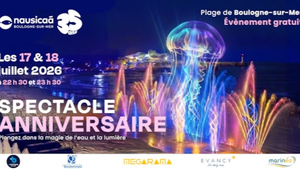 À Boulogne-sur-Mer, Nausicaá fête ses 35 ans avec un spectacle aquatique géant sur la plage